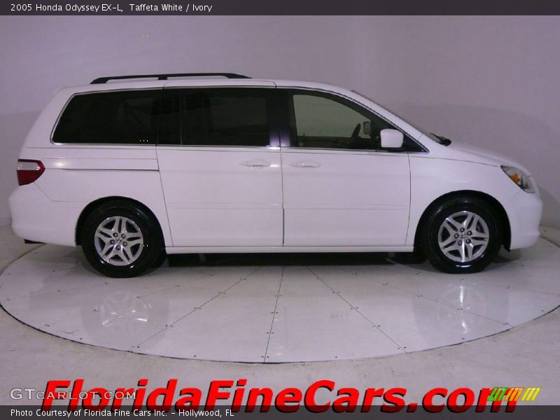 Taffeta White / Ivory 2005 Honda Odyssey EX-L
