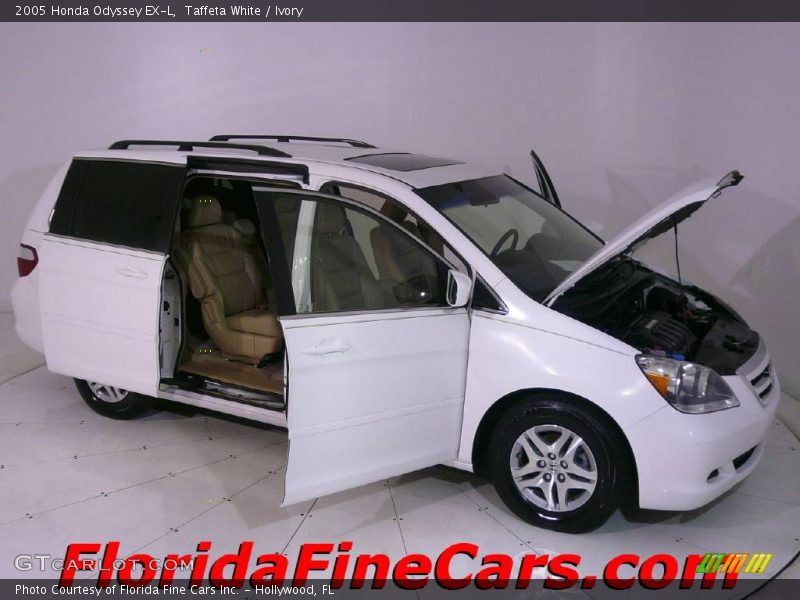 Taffeta White / Ivory 2005 Honda Odyssey EX-L