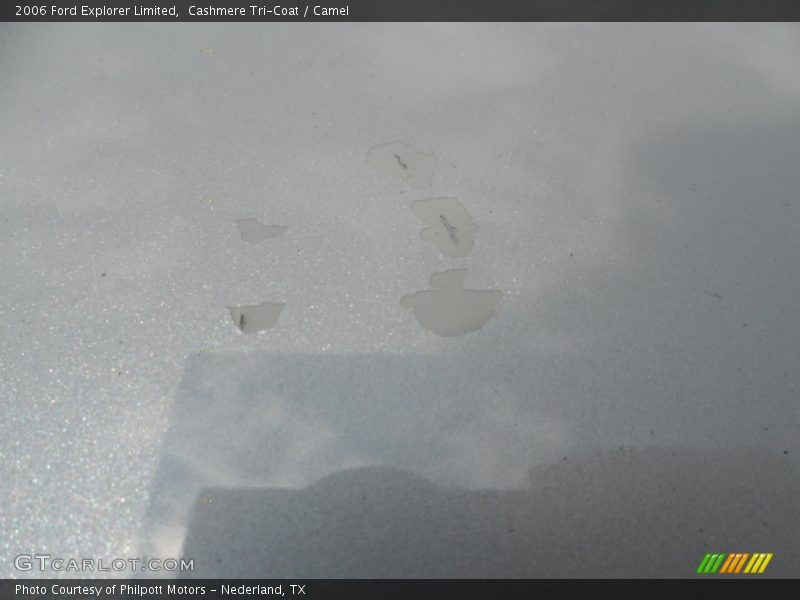 Cashmere Tri-Coat / Camel 2006 Ford Explorer Limited