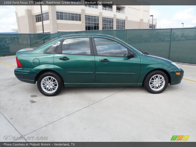  2000 Focus ZTS Sedan Rainforest Green Metallic