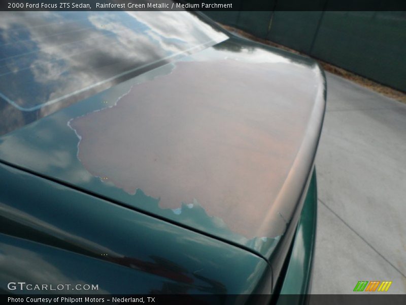 Rainforest Green Metallic / Medium Parchment 2000 Ford Focus ZTS Sedan