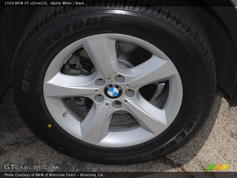 Alpine White / Black 2009 BMW X5 xDrive30i