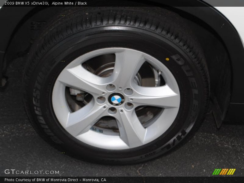 Alpine White / Black 2009 BMW X5 xDrive30i