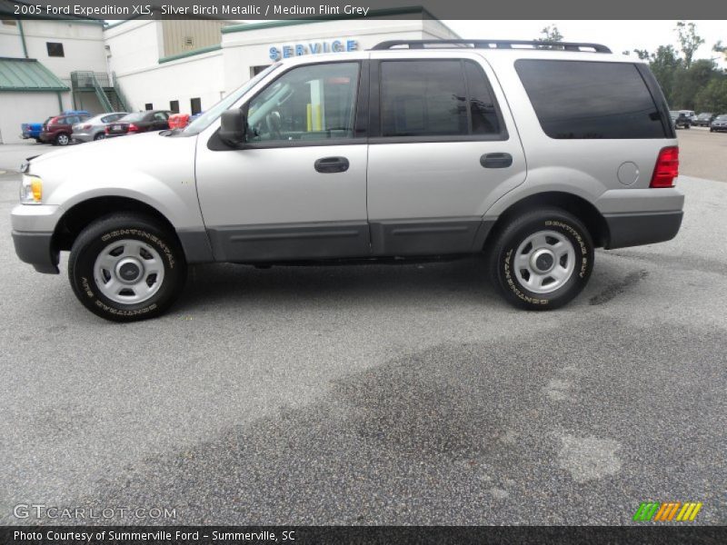 Silver Birch Metallic / Medium Flint Grey 2005 Ford Expedition XLS
