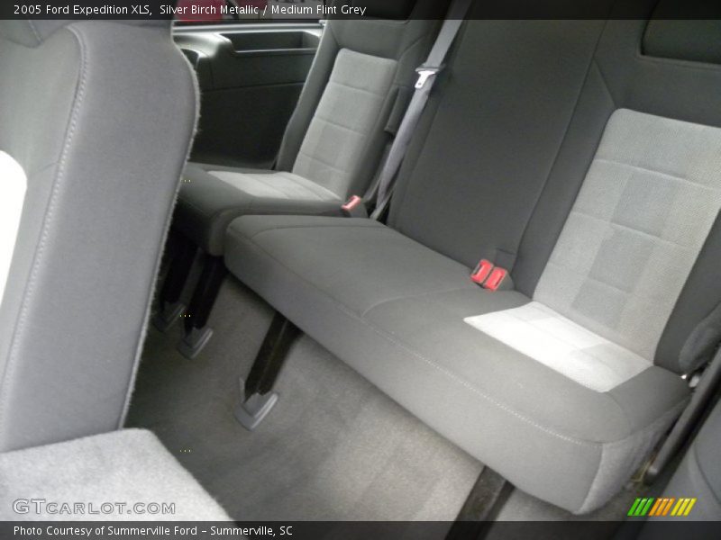 Silver Birch Metallic / Medium Flint Grey 2005 Ford Expedition XLS