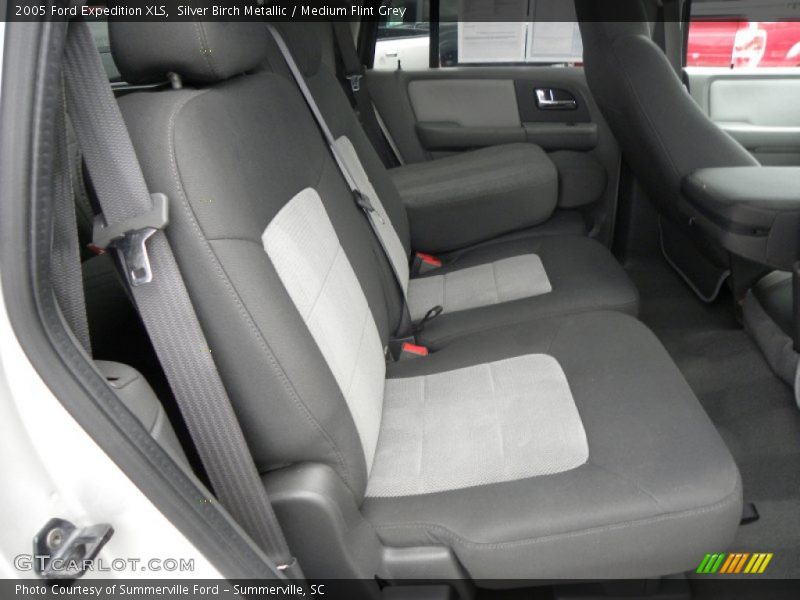 Silver Birch Metallic / Medium Flint Grey 2005 Ford Expedition XLS