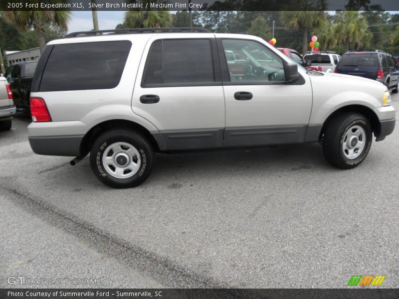 Silver Birch Metallic / Medium Flint Grey 2005 Ford Expedition XLS