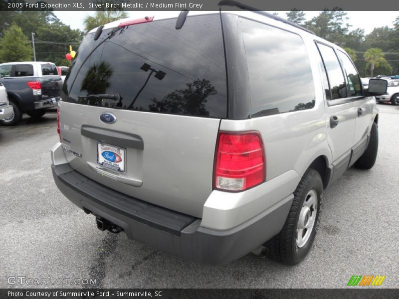 Silver Birch Metallic / Medium Flint Grey 2005 Ford Expedition XLS