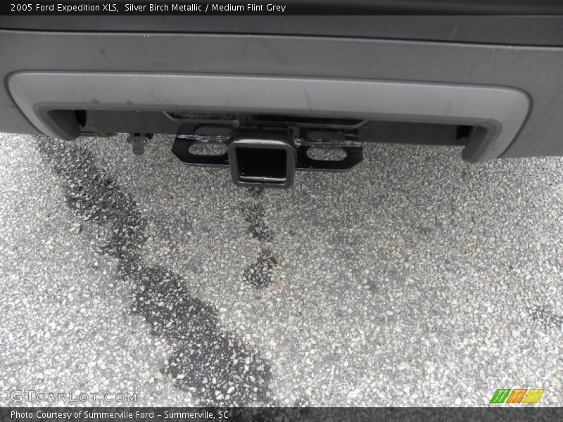 Silver Birch Metallic / Medium Flint Grey 2005 Ford Expedition XLS