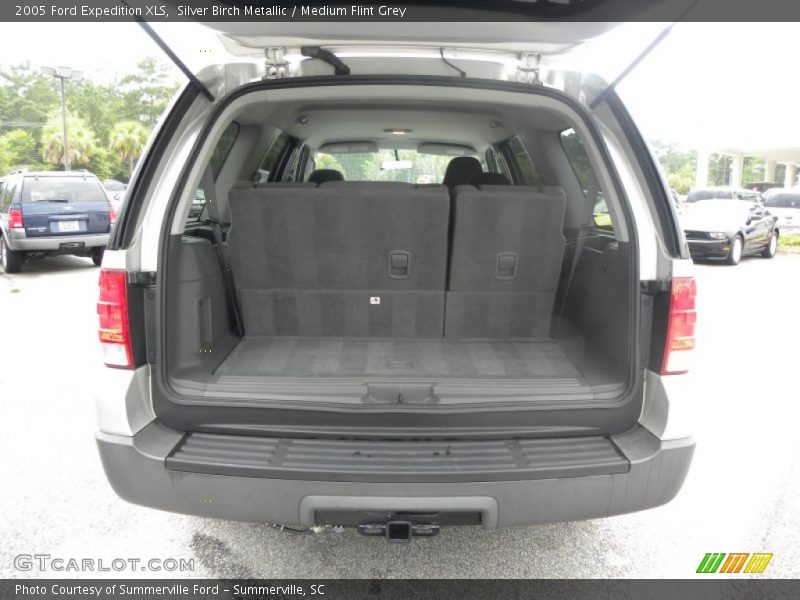 Silver Birch Metallic / Medium Flint Grey 2005 Ford Expedition XLS