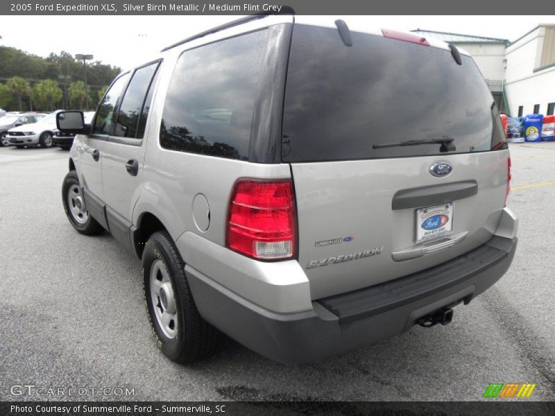 Silver Birch Metallic / Medium Flint Grey 2005 Ford Expedition XLS