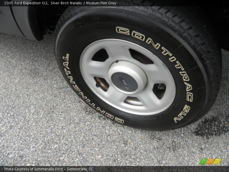 Silver Birch Metallic / Medium Flint Grey 2005 Ford Expedition XLS