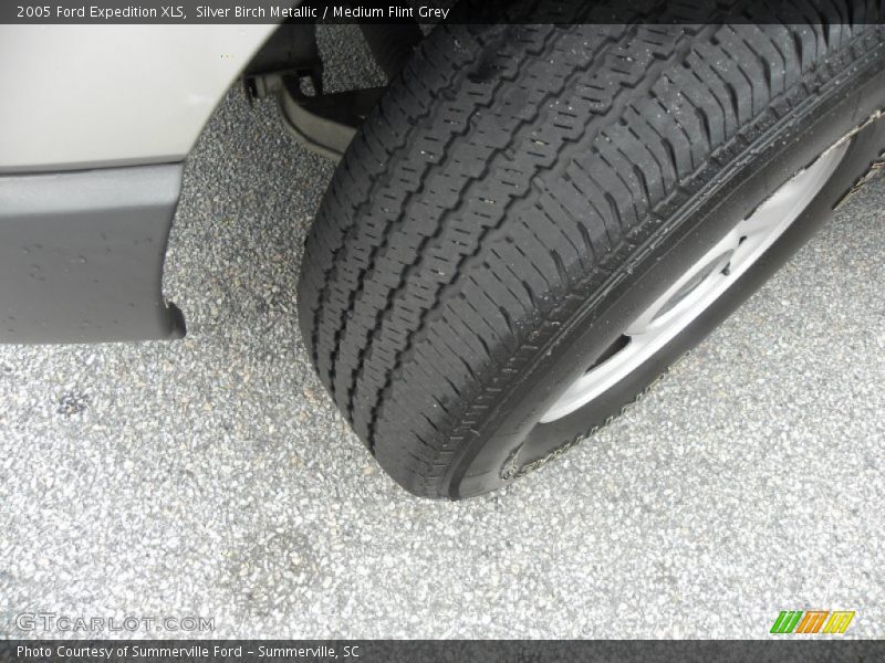 Silver Birch Metallic / Medium Flint Grey 2005 Ford Expedition XLS