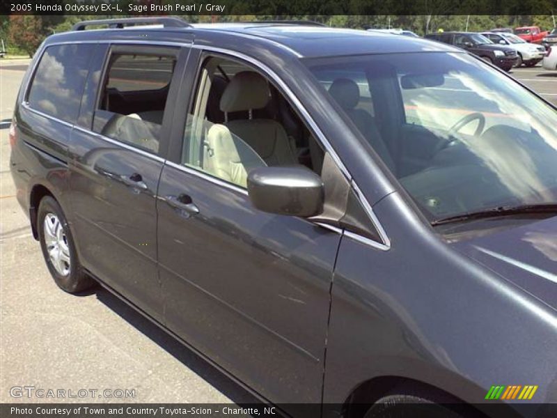 Sage Brush Pearl / Gray 2005 Honda Odyssey EX-L