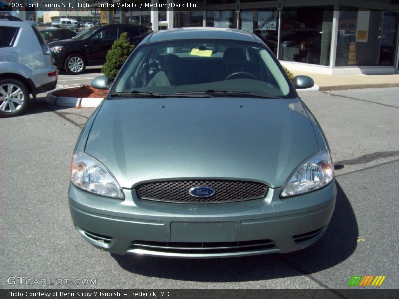 Light Tundra Metallic / Medium/Dark Flint 2005 Ford Taurus SEL
