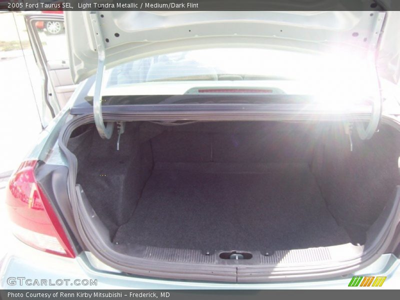 Light Tundra Metallic / Medium/Dark Flint 2005 Ford Taurus SEL