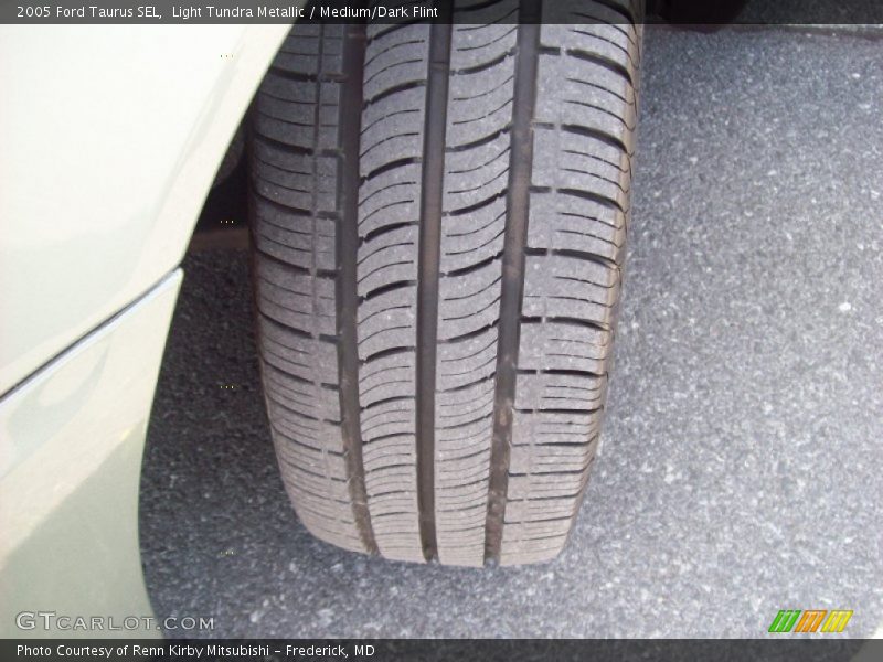 Light Tundra Metallic / Medium/Dark Flint 2005 Ford Taurus SEL