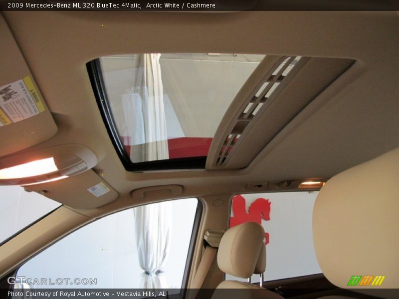 Arctic White / Cashmere 2009 Mercedes-Benz ML 320 BlueTec 4Matic