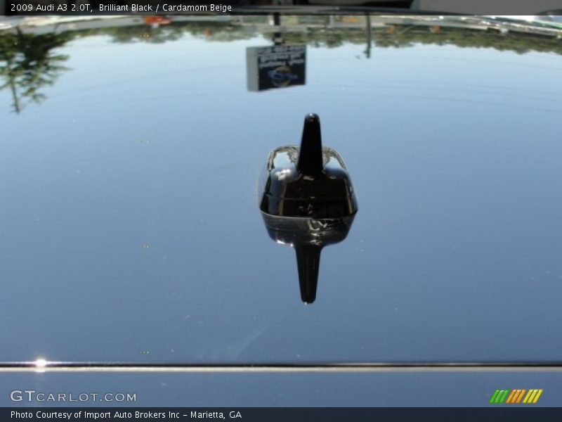 Brilliant Black / Cardamom Beige 2009 Audi A3 2.0T