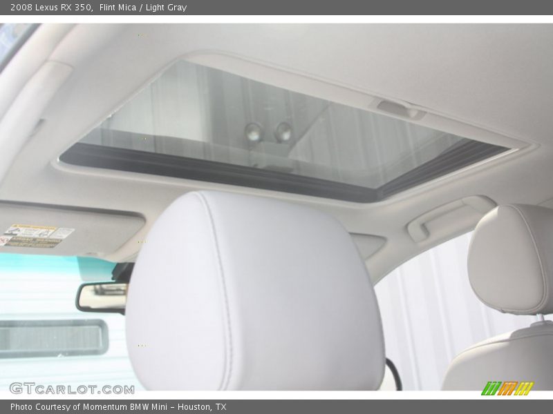 Flint Mica / Light Gray 2008 Lexus RX 350