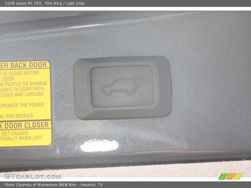 Flint Mica / Light Gray 2008 Lexus RX 350