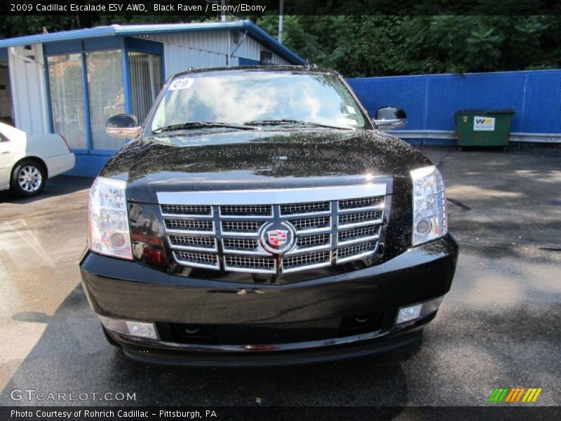 Black Raven / Ebony/Ebony 2009 Cadillac Escalade ESV AWD