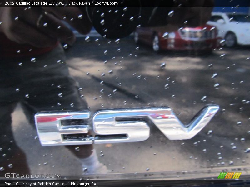 Black Raven / Ebony/Ebony 2009 Cadillac Escalade ESV AWD
