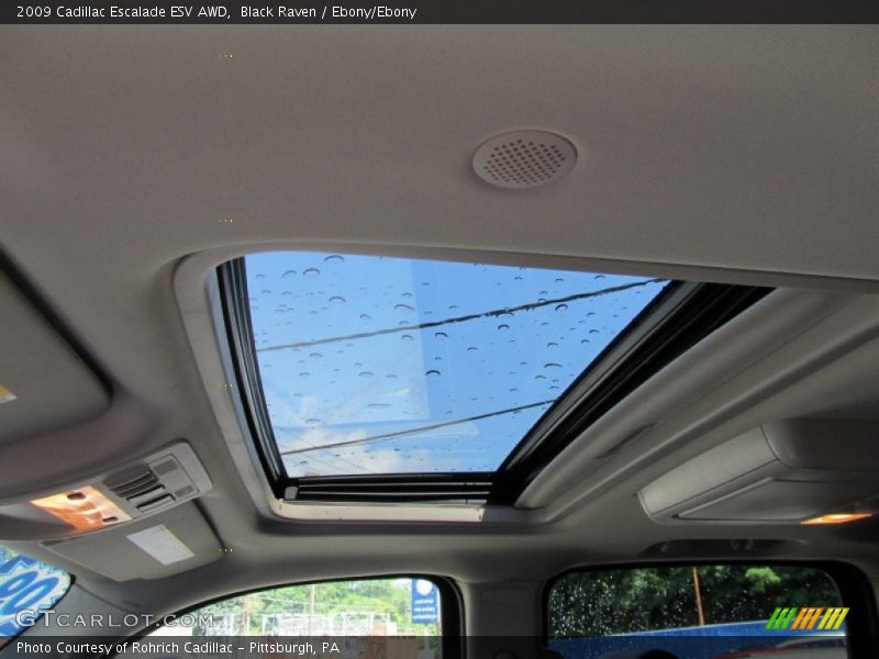 Black Raven / Ebony/Ebony 2009 Cadillac Escalade ESV AWD