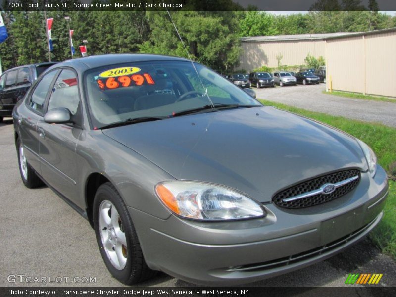 Spruce Green Metallic / Dark Charcoal 2003 Ford Taurus SE