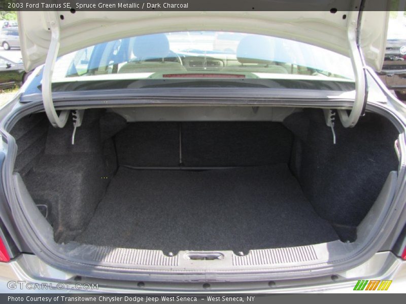 Spruce Green Metallic / Dark Charcoal 2003 Ford Taurus SE