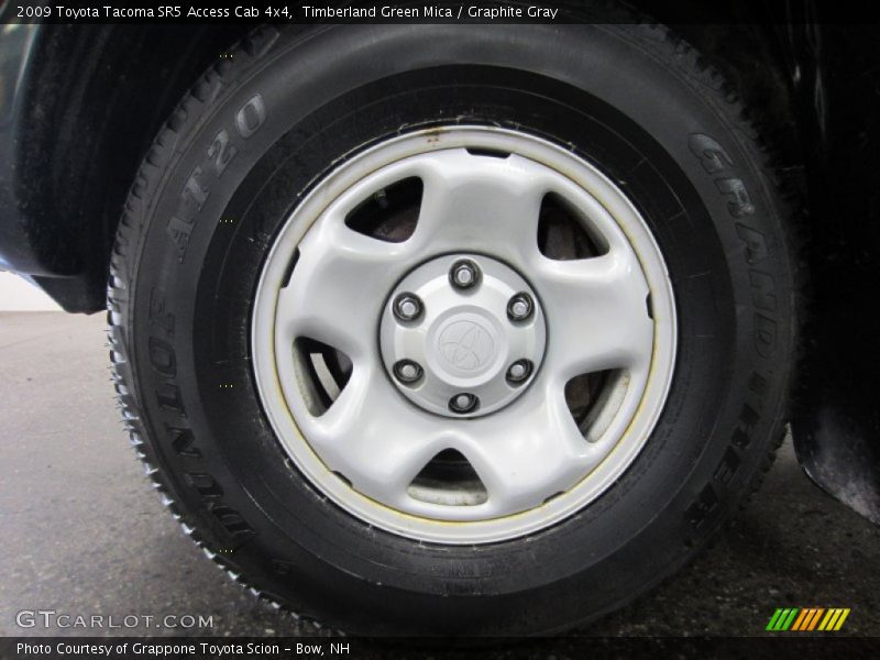Timberland Green Mica / Graphite Gray 2009 Toyota Tacoma SR5 Access Cab 4x4