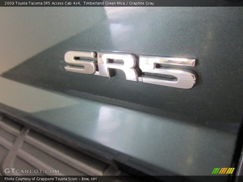 Timberland Green Mica / Graphite Gray 2009 Toyota Tacoma SR5 Access Cab 4x4