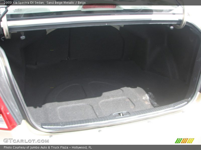 Sand Beige Metallic / Beige 2009 Kia Spectra EX Sedan