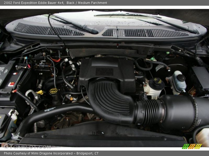 Black / Medium Parchment 2002 Ford Expedition Eddie Bauer 4x4