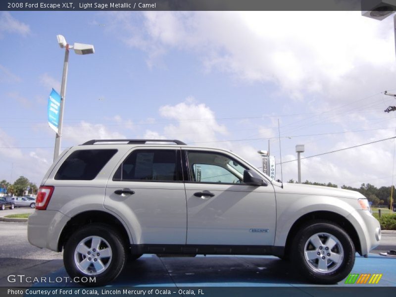 Light Sage Metallic / Camel 2008 Ford Escape XLT