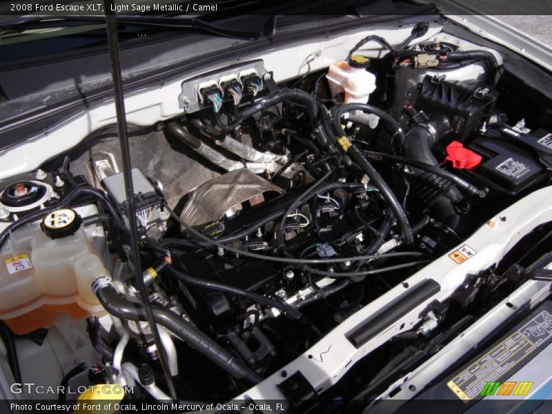 Light Sage Metallic / Camel 2008 Ford Escape XLT