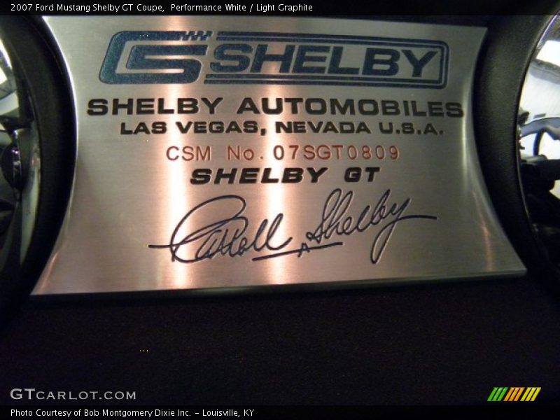  2007 Mustang Shelby GT Coupe Logo
