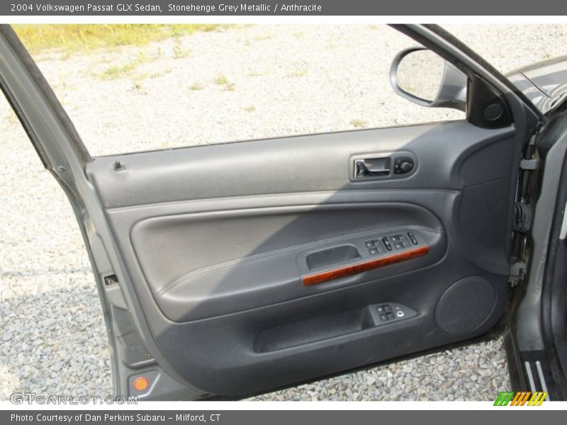 Door Panel of 2004 Passat GLX Sedan