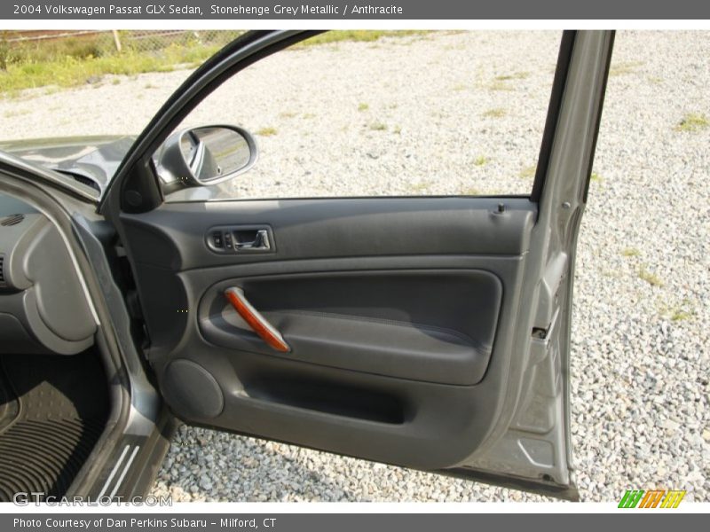 Door Panel of 2004 Passat GLX Sedan