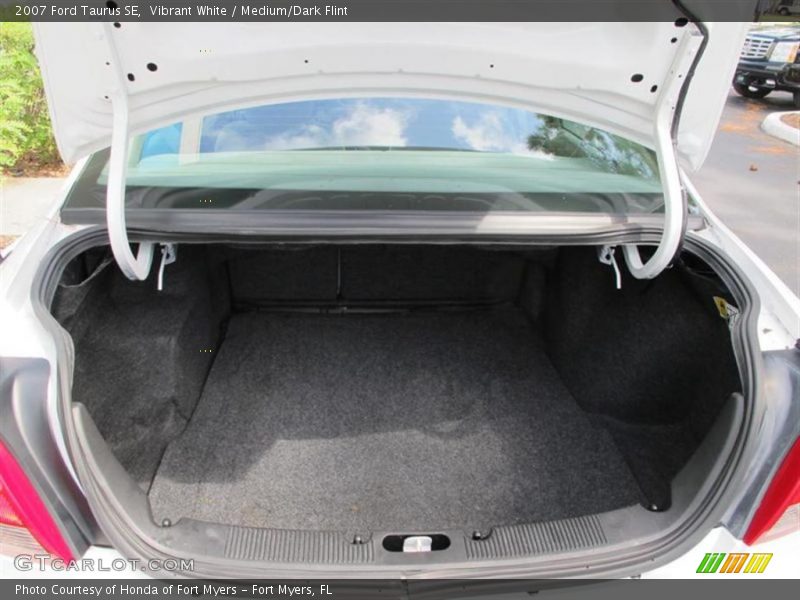 Vibrant White / Medium/Dark Flint 2007 Ford Taurus SE