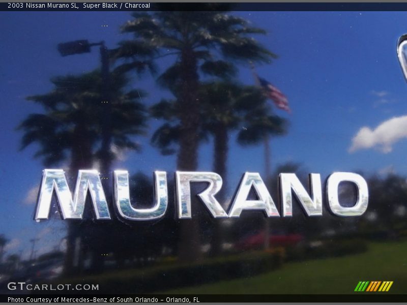 Super Black / Charcoal 2003 Nissan Murano SL