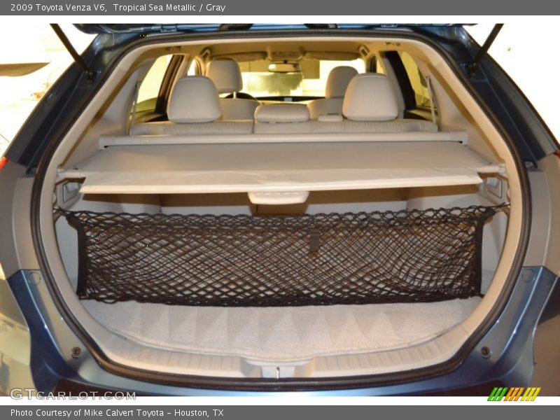 Tropical Sea Metallic / Gray 2009 Toyota Venza V6