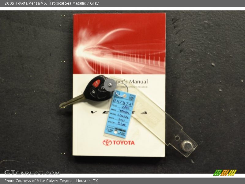 Tropical Sea Metallic / Gray 2009 Toyota Venza V6