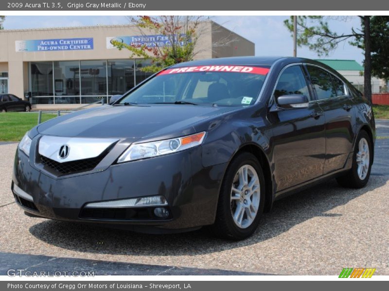 Grigio Gray Metallic / Ebony 2009 Acura TL 3.5