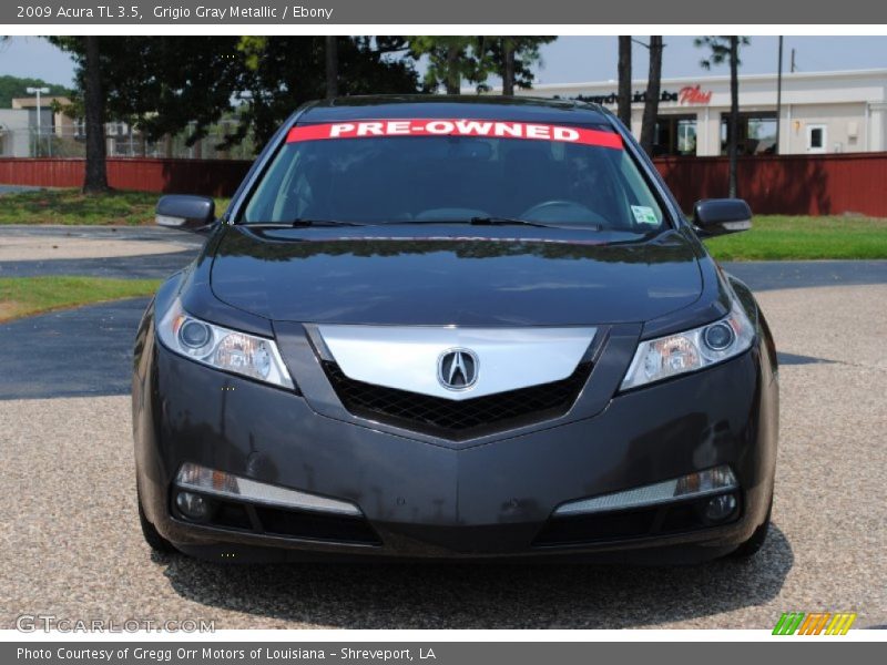 Grigio Gray Metallic / Ebony 2009 Acura TL 3.5