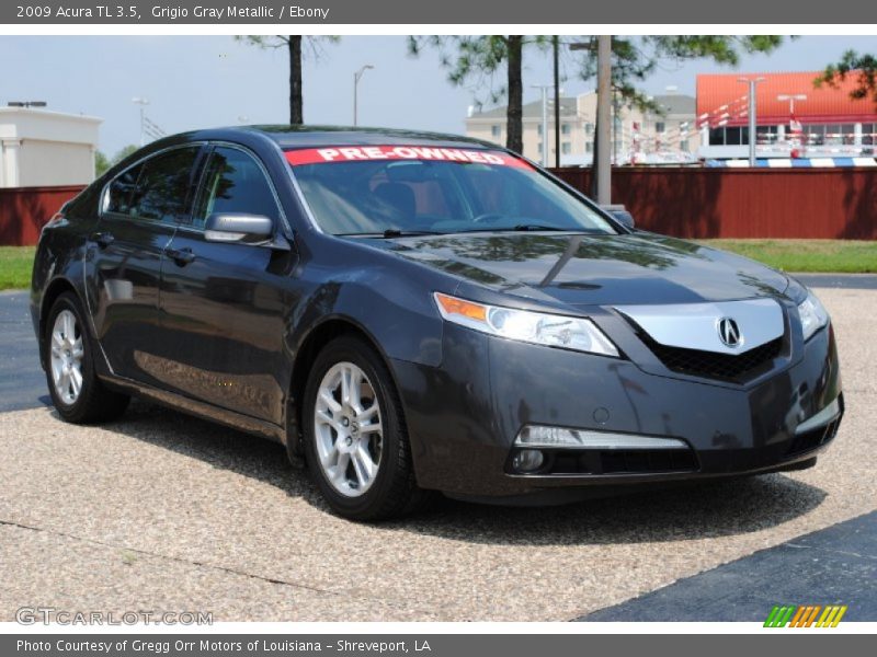 Grigio Gray Metallic / Ebony 2009 Acura TL 3.5