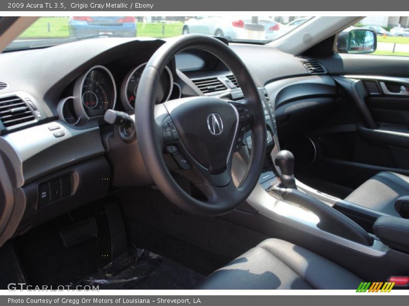 Grigio Gray Metallic / Ebony 2009 Acura TL 3.5