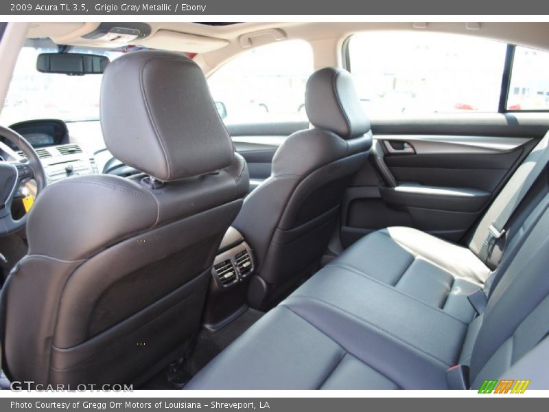 Grigio Gray Metallic / Ebony 2009 Acura TL 3.5