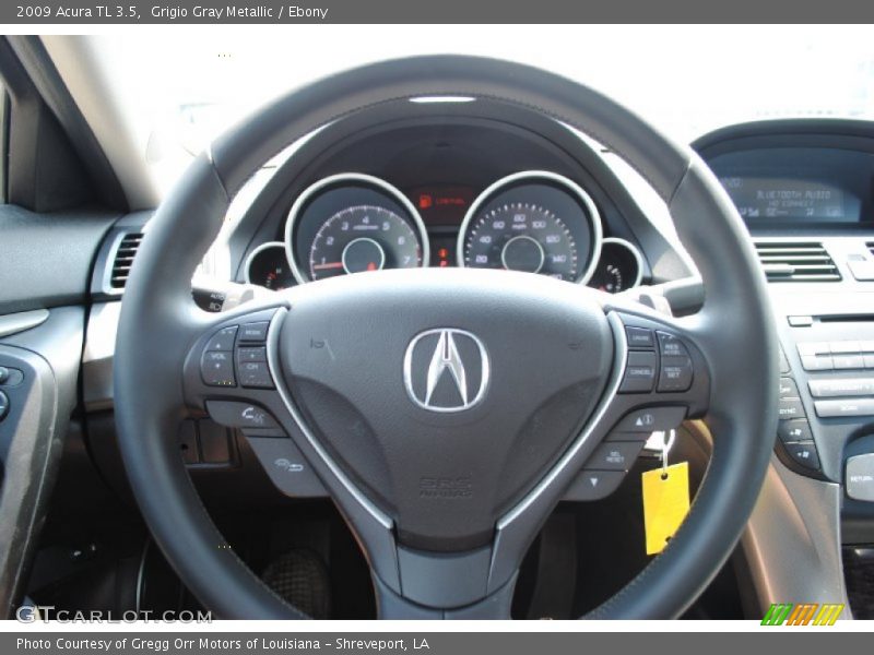 Grigio Gray Metallic / Ebony 2009 Acura TL 3.5