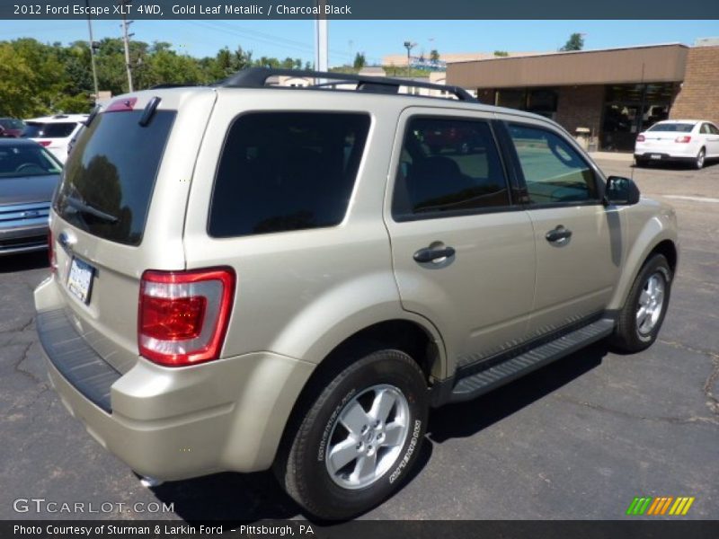 Gold Leaf Metallic / Charcoal Black 2012 Ford Escape XLT 4WD